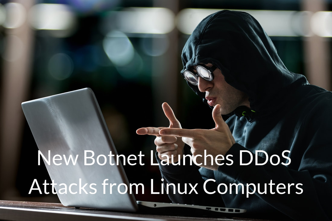 botnet DDoS attack